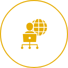 Network Administrator 